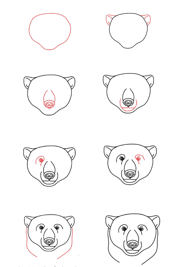 jääkarhun pää piirustus
