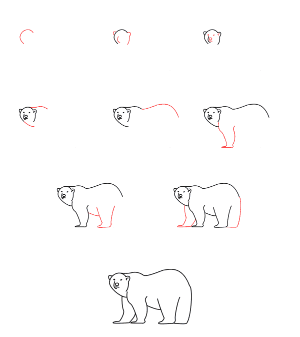 Yksinkertaisen jääkarhun piirtäminen (2) piirustus