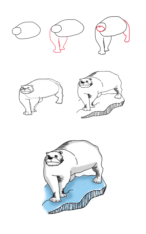Yksinkertaisen jääkarhun piirtäminen (4) piirustus
