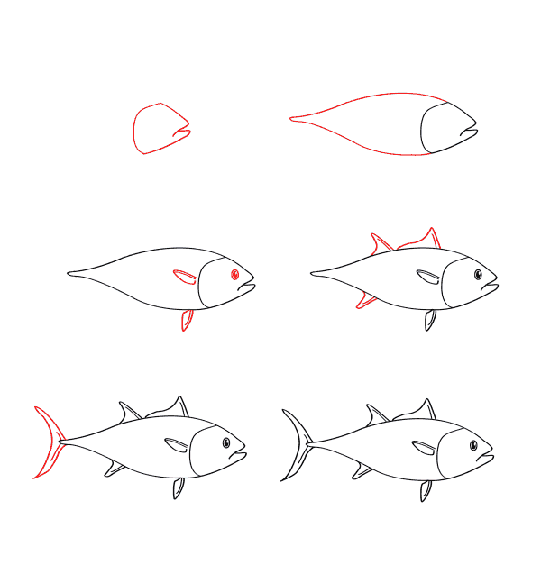 Yksinkertaisen tonnikalan piirtäminen (3) piirustus