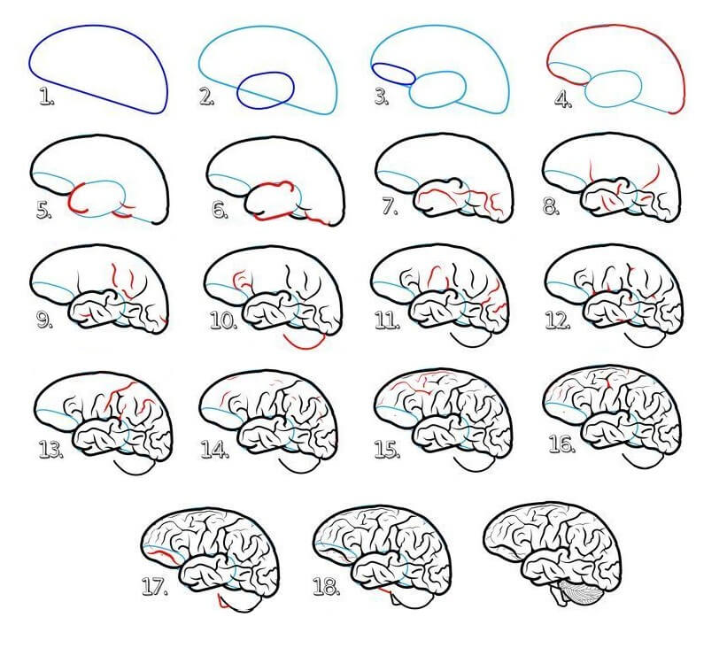 Aivo ideoita (7) piirustus