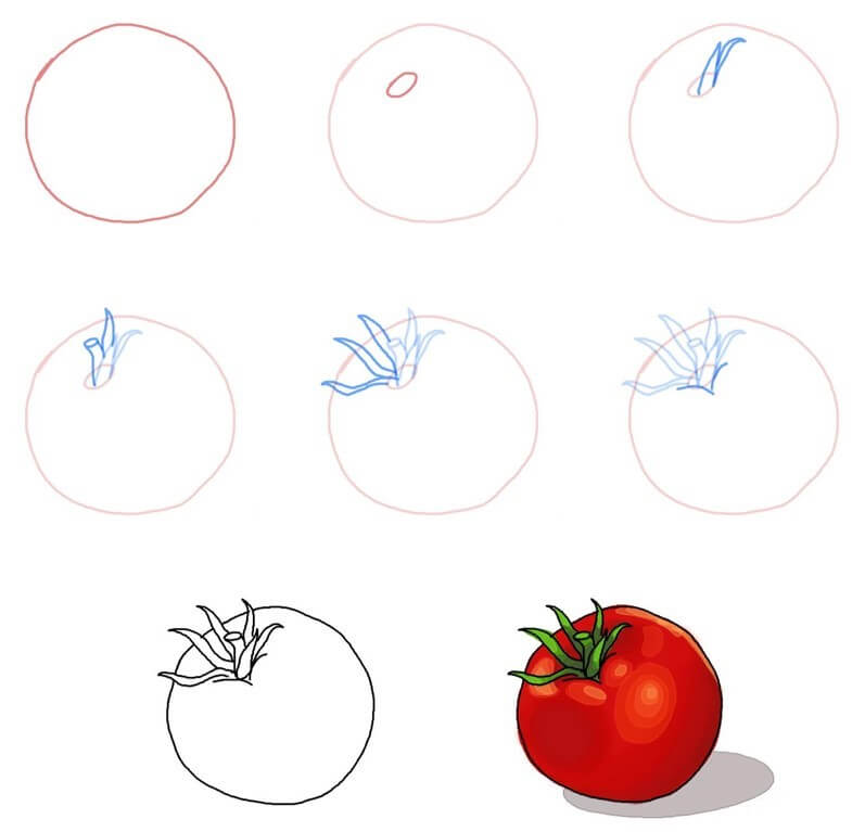 Idea tomaatti (13) piirustus