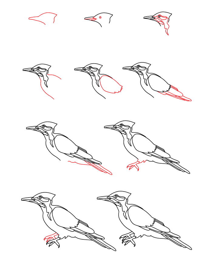 Realistinen tikka piirustus