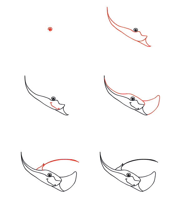 Sarjakuva Manta ray piirustus