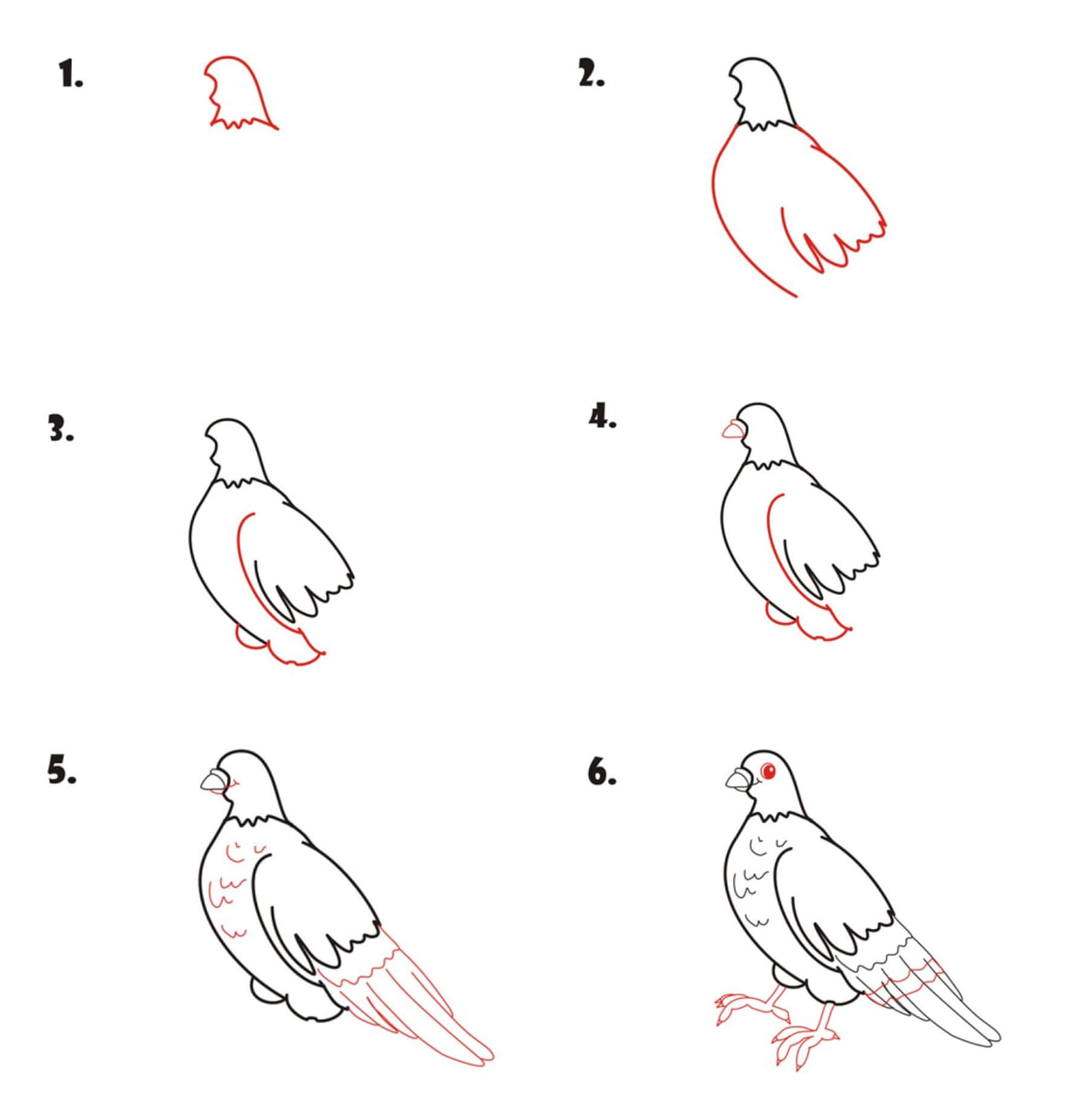 Kyyhkynen idea (8) piirustus