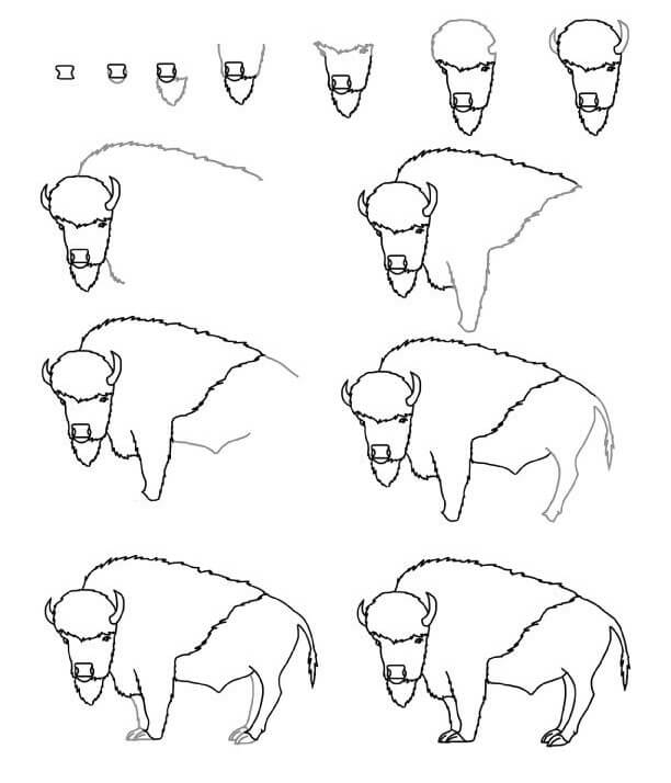 Bison idea (14) piirustus