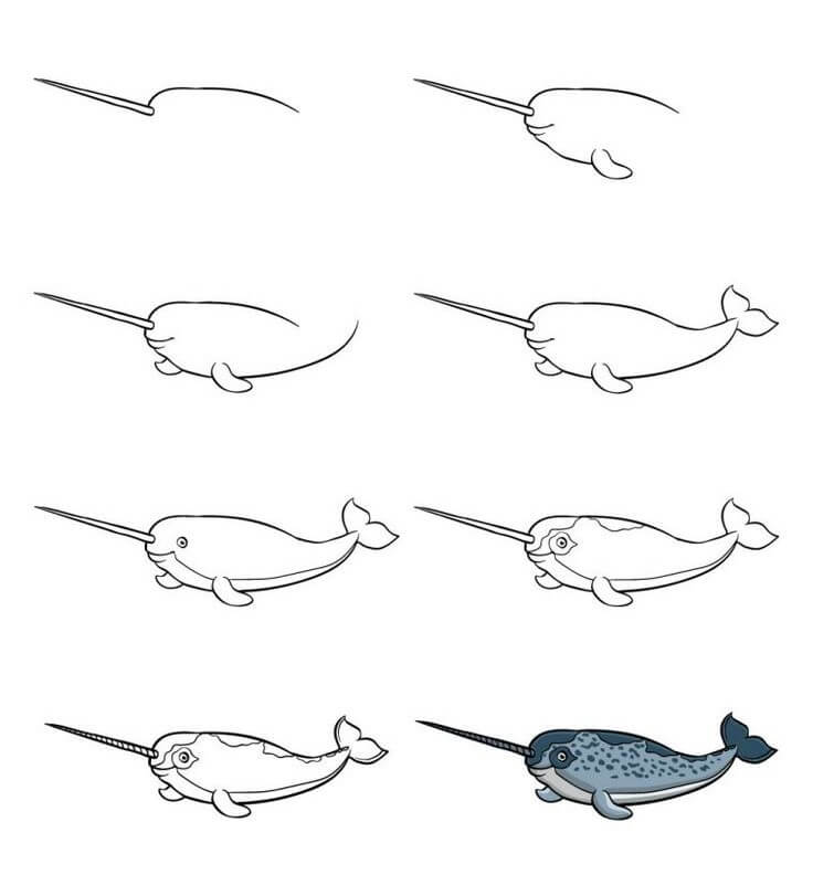 Narwhal idea (3) piirustus