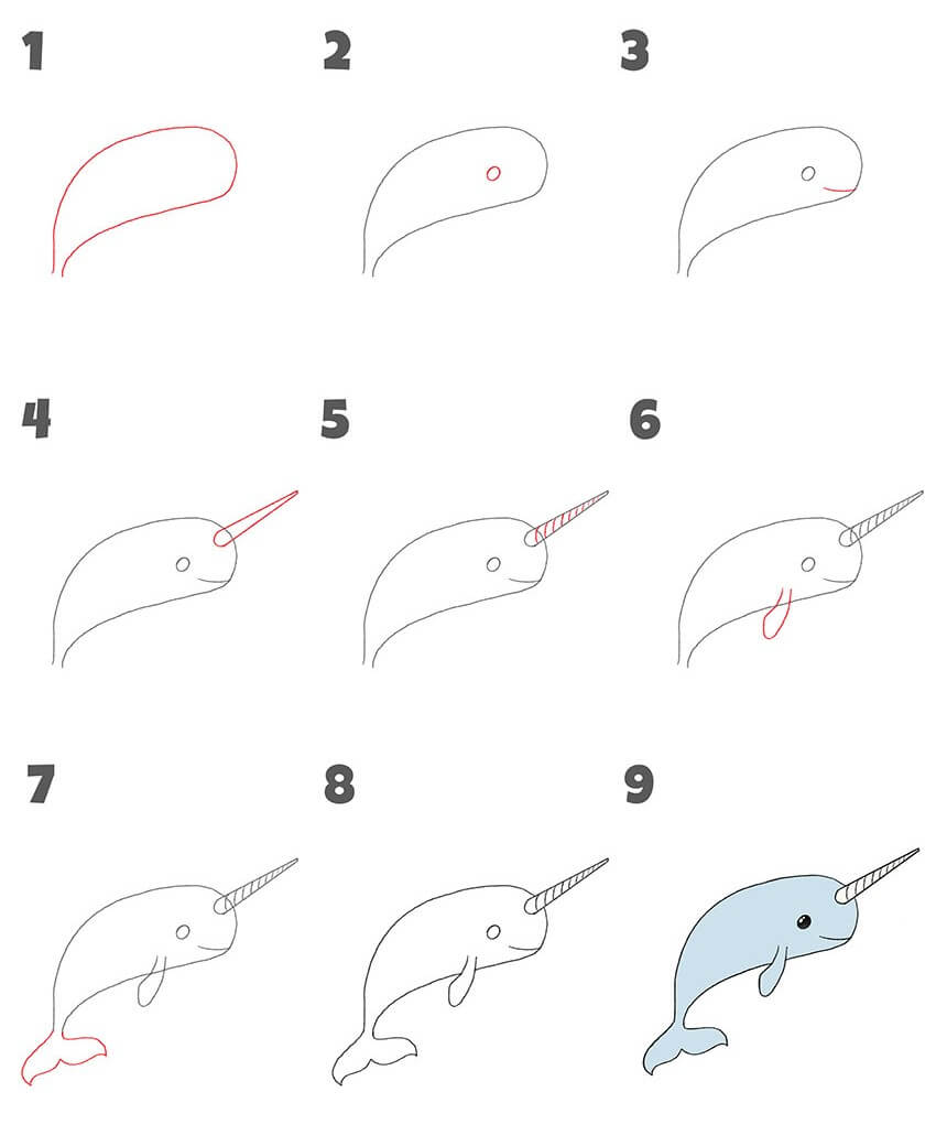 Narwhal idea (7) piirustus