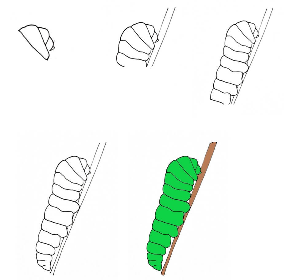 Toukka idea (5) piirustus