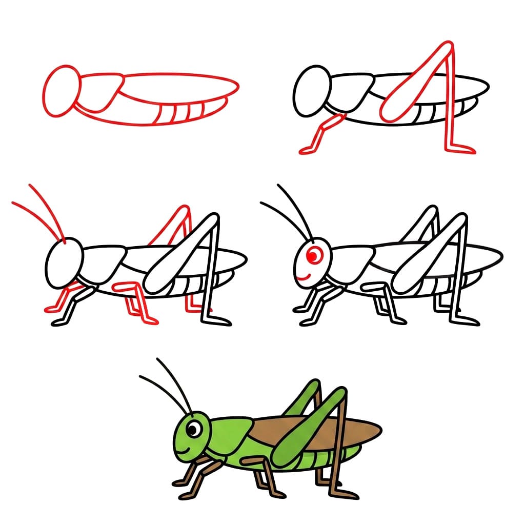 Heinäsirkka piirustus