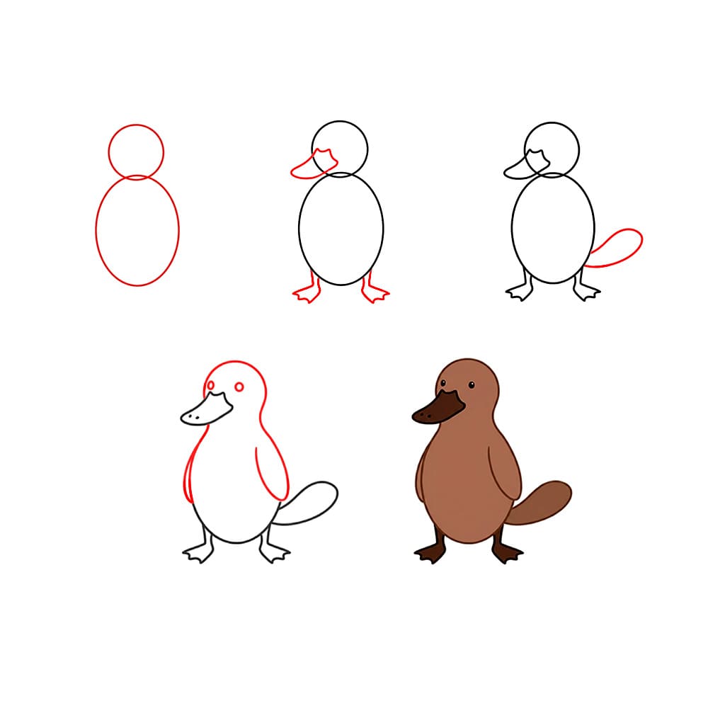 Pehmeä vesinokkaeläin piirustus