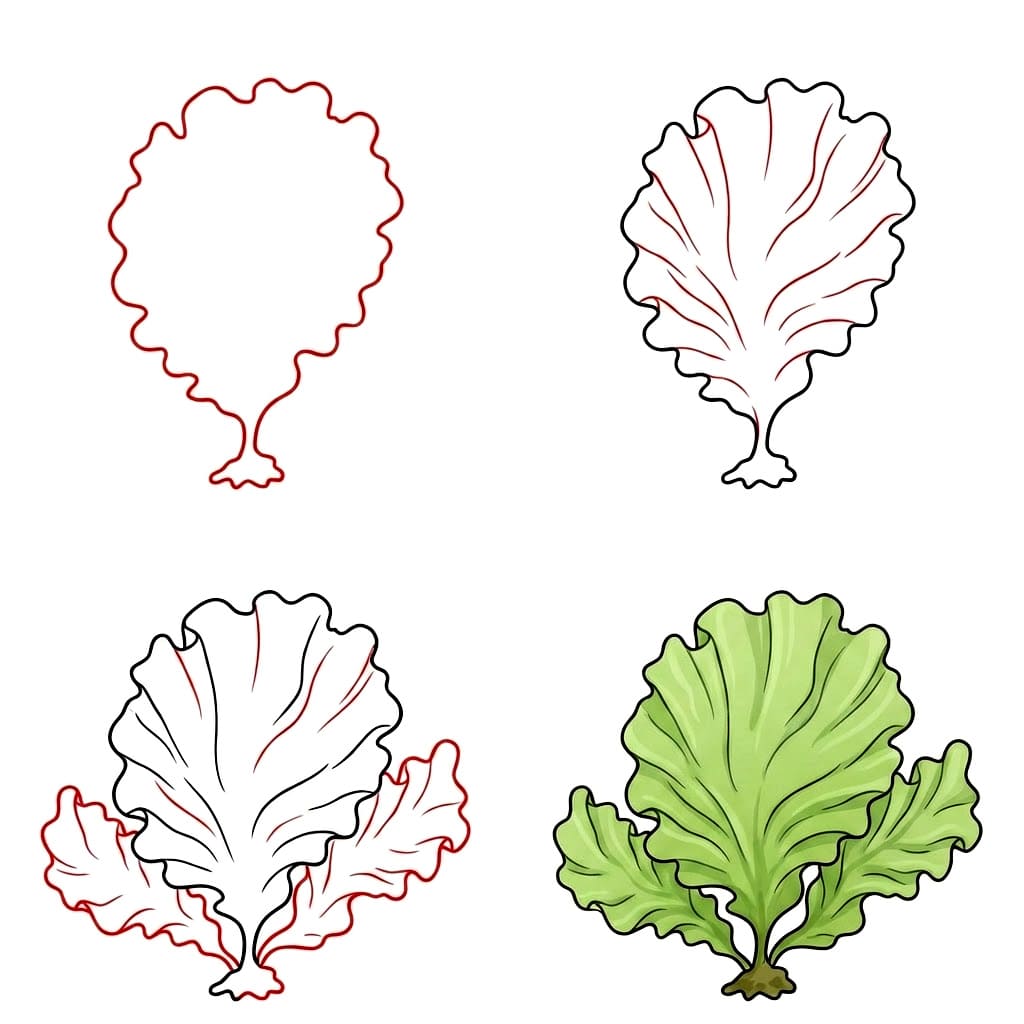 Vihreä merilevä piirustus