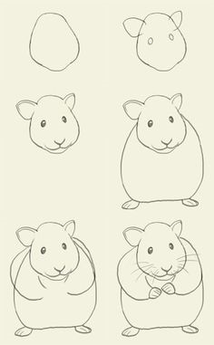 Hamsteri idea (8) piirustus