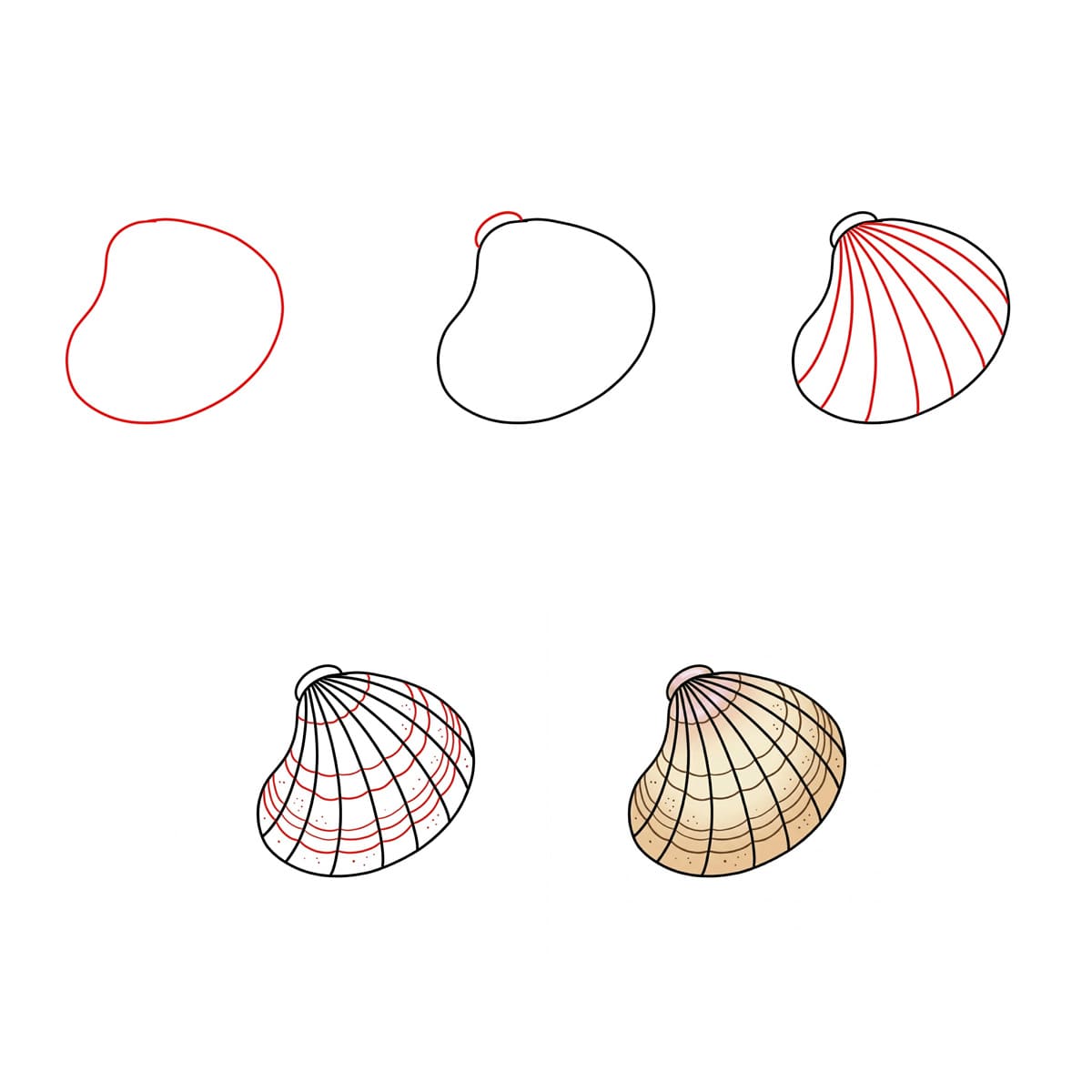 Yksinkertainen viuhkasimpukankuori piirustus