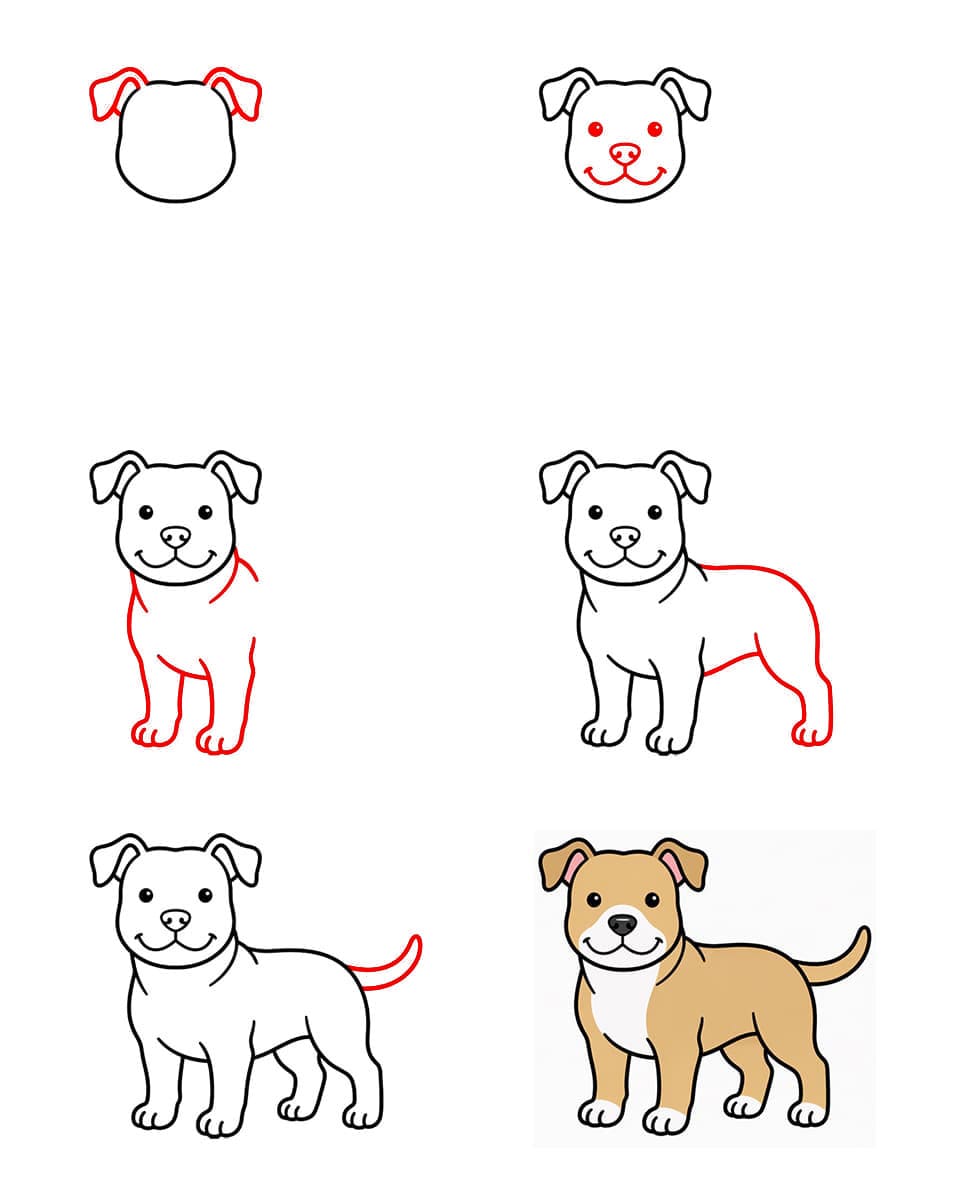 Helppo pitbull piirustus