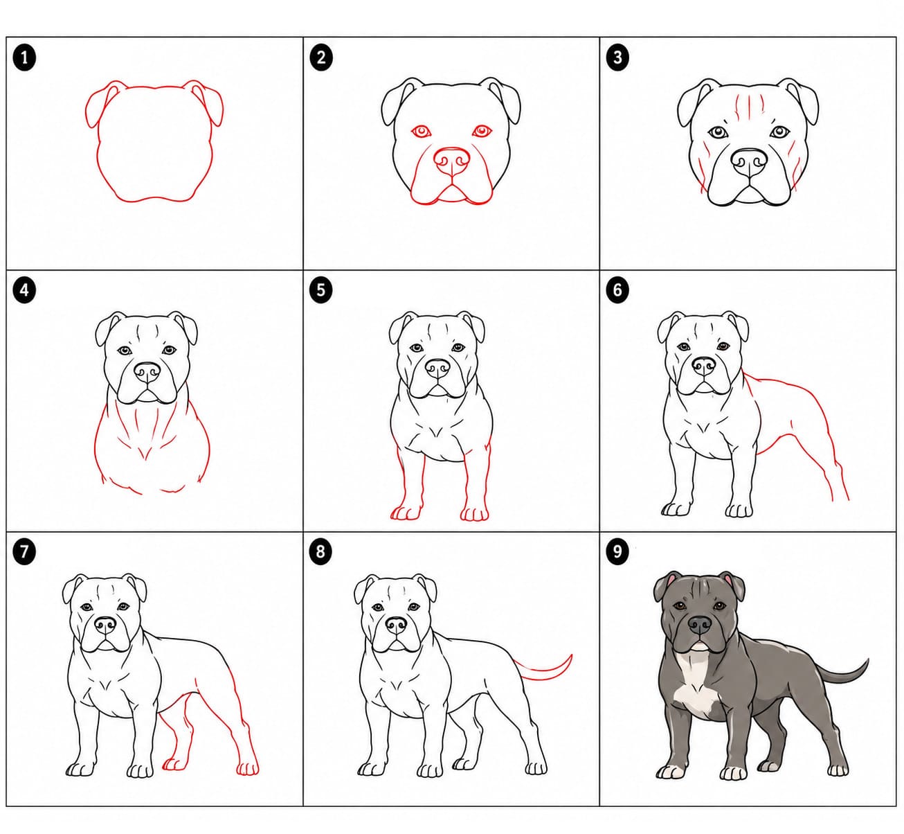 Iso pitbull piirustus