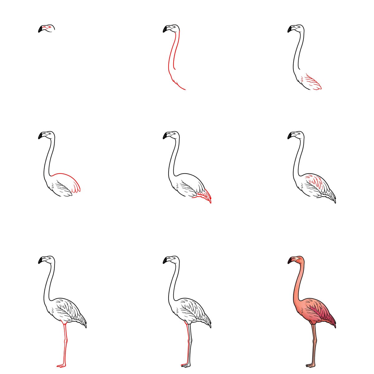 Flamingo piirustus