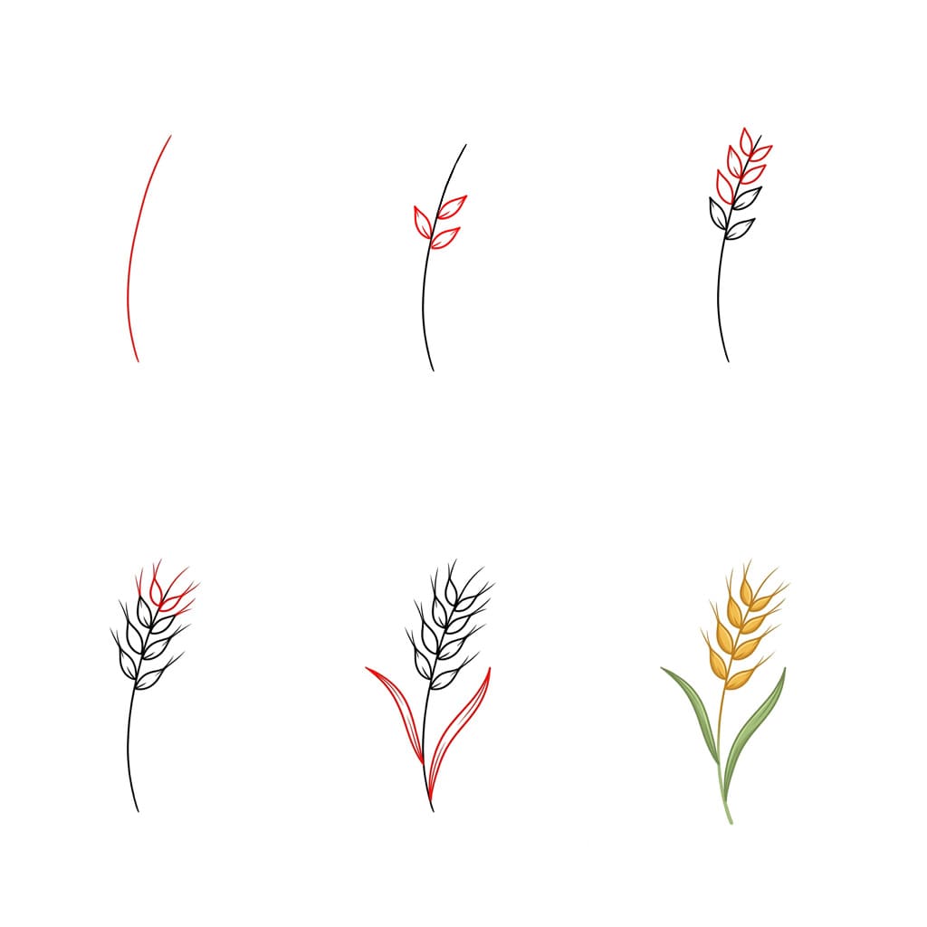 Minimaalinen vehnä piirustus