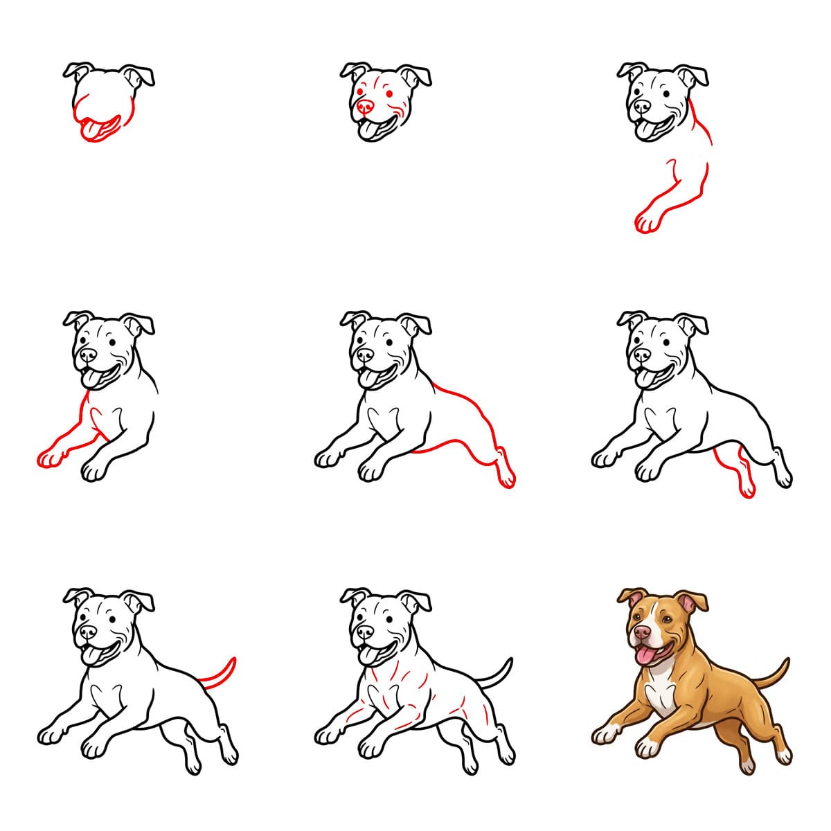 Pitbull hyppää piirustus