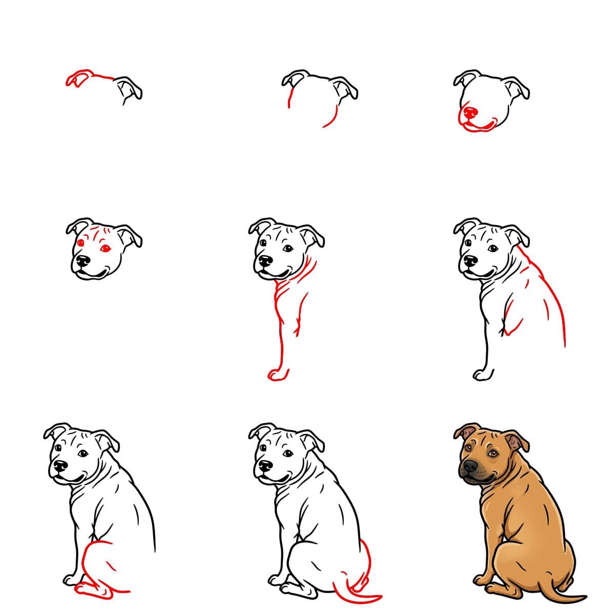 Pitbull katsoo taaksepäin piirustus