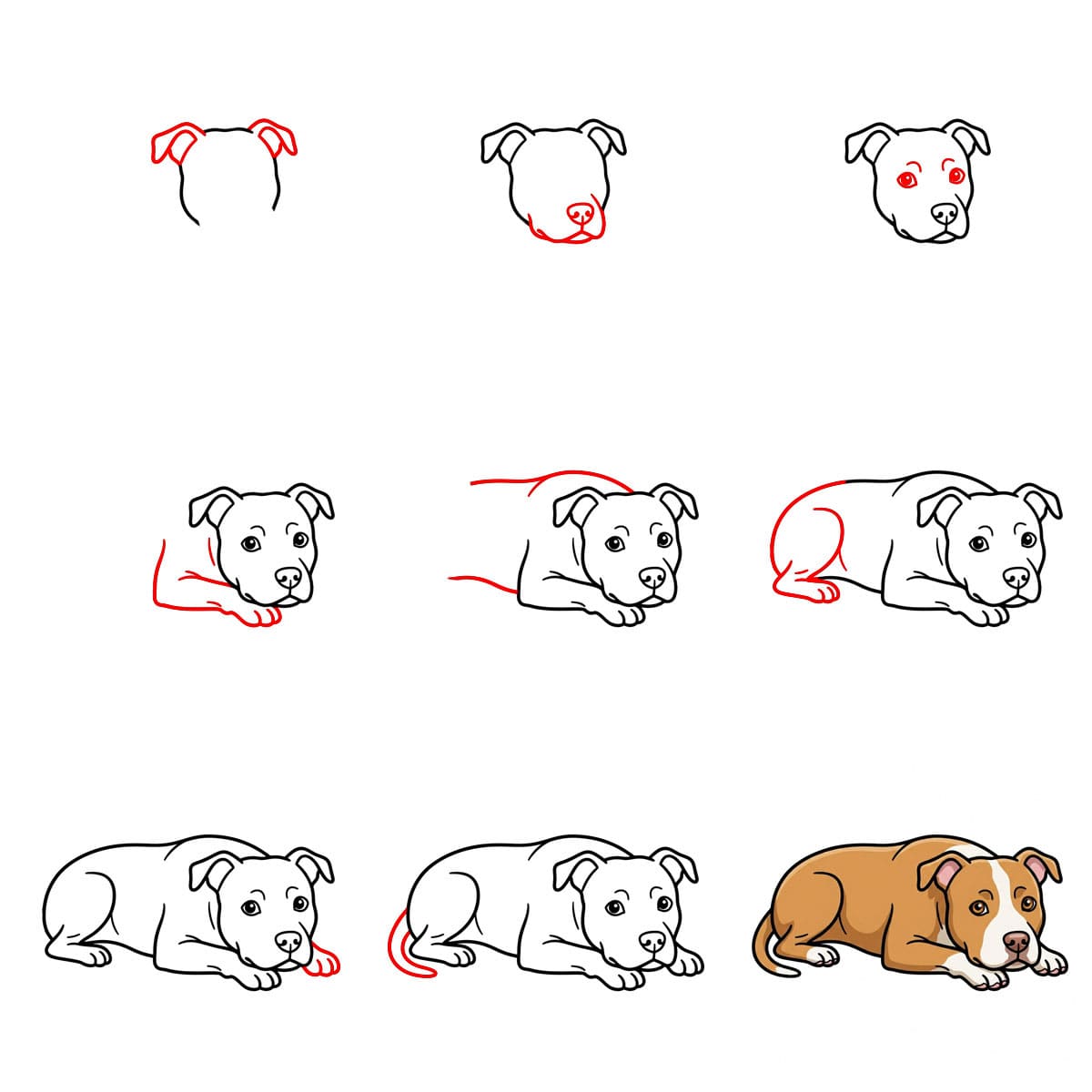 Pitbull makaamassa piirustus