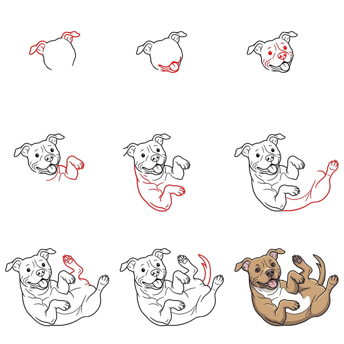 Pitbull pyörii piirustus