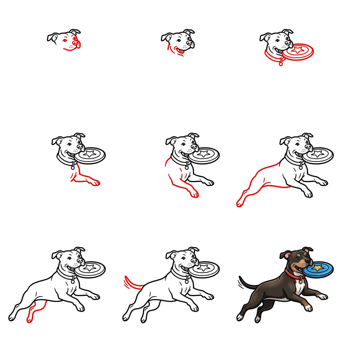 Pitbullin hyppy ja kiinniotto piirustus