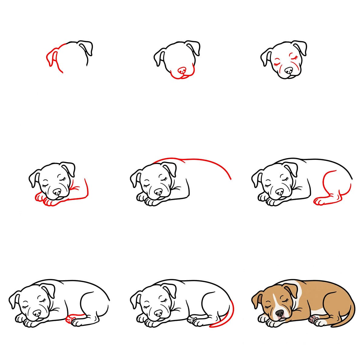 Pitbullin nukkuminen piirustus