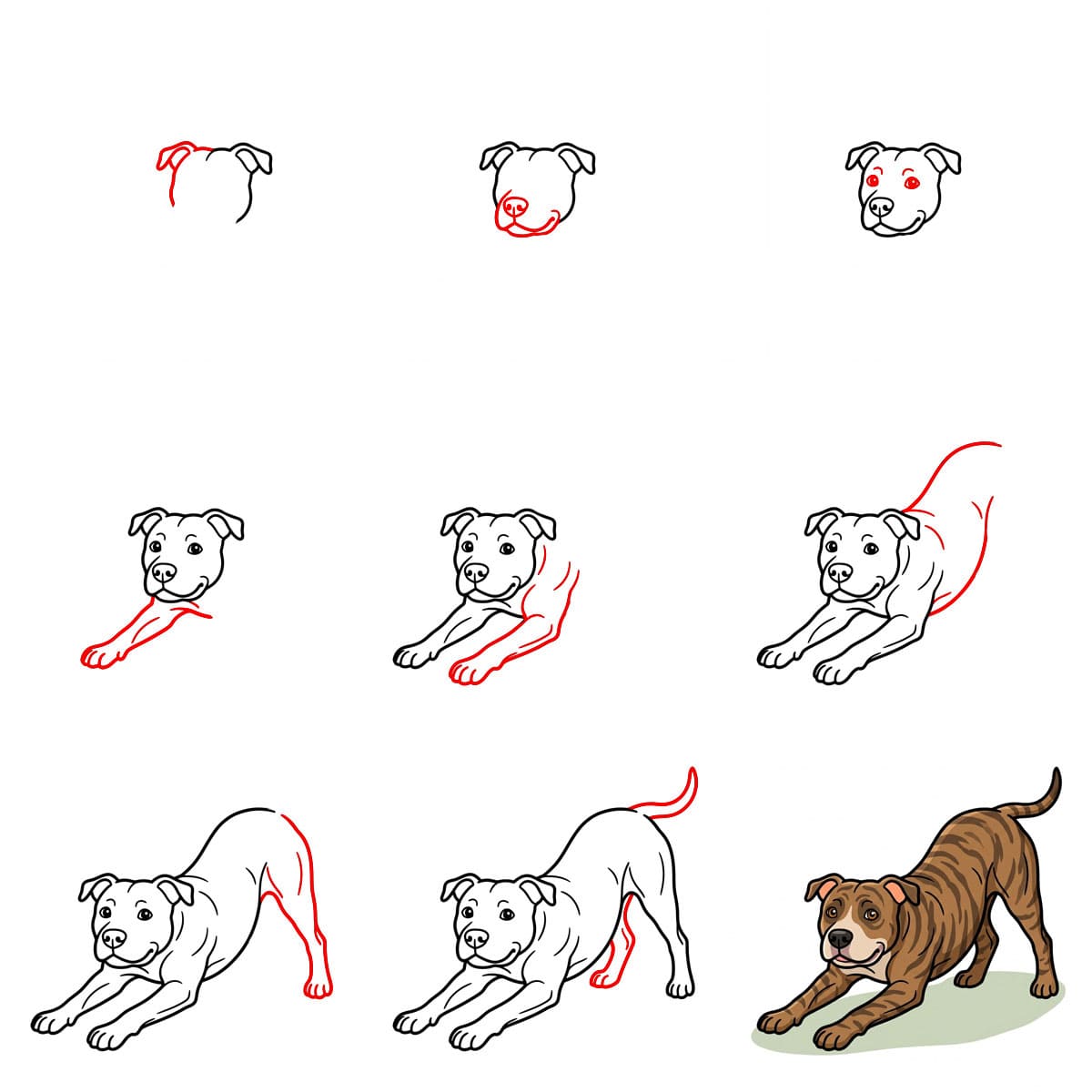 Pitbullin venyttely piirustus