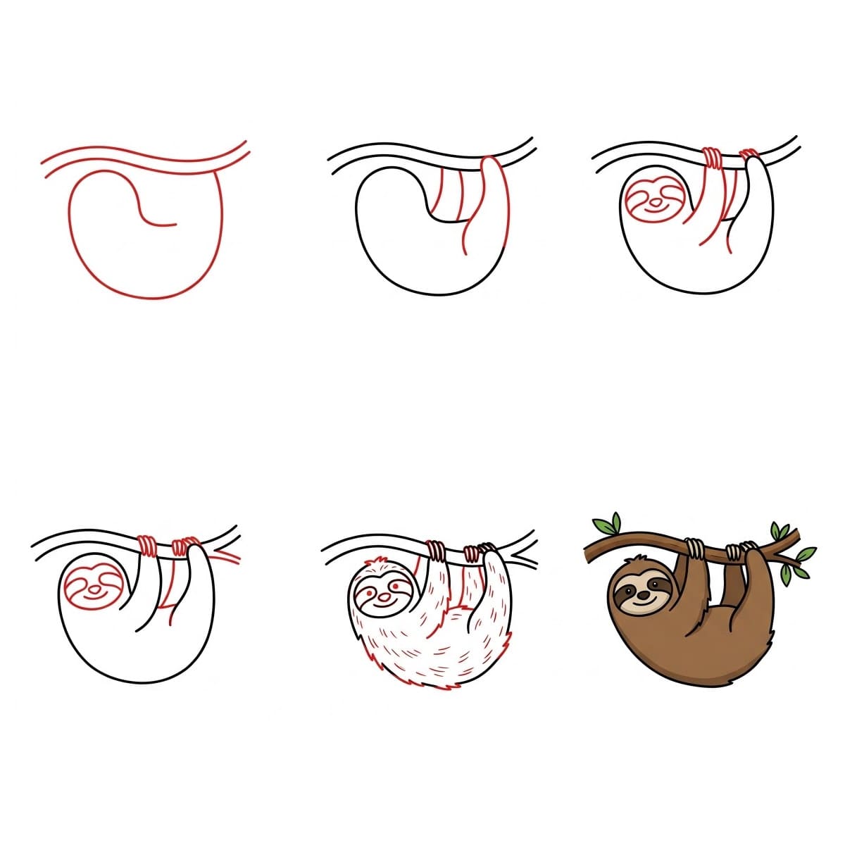 Roikkuva laiskiainen piirustus