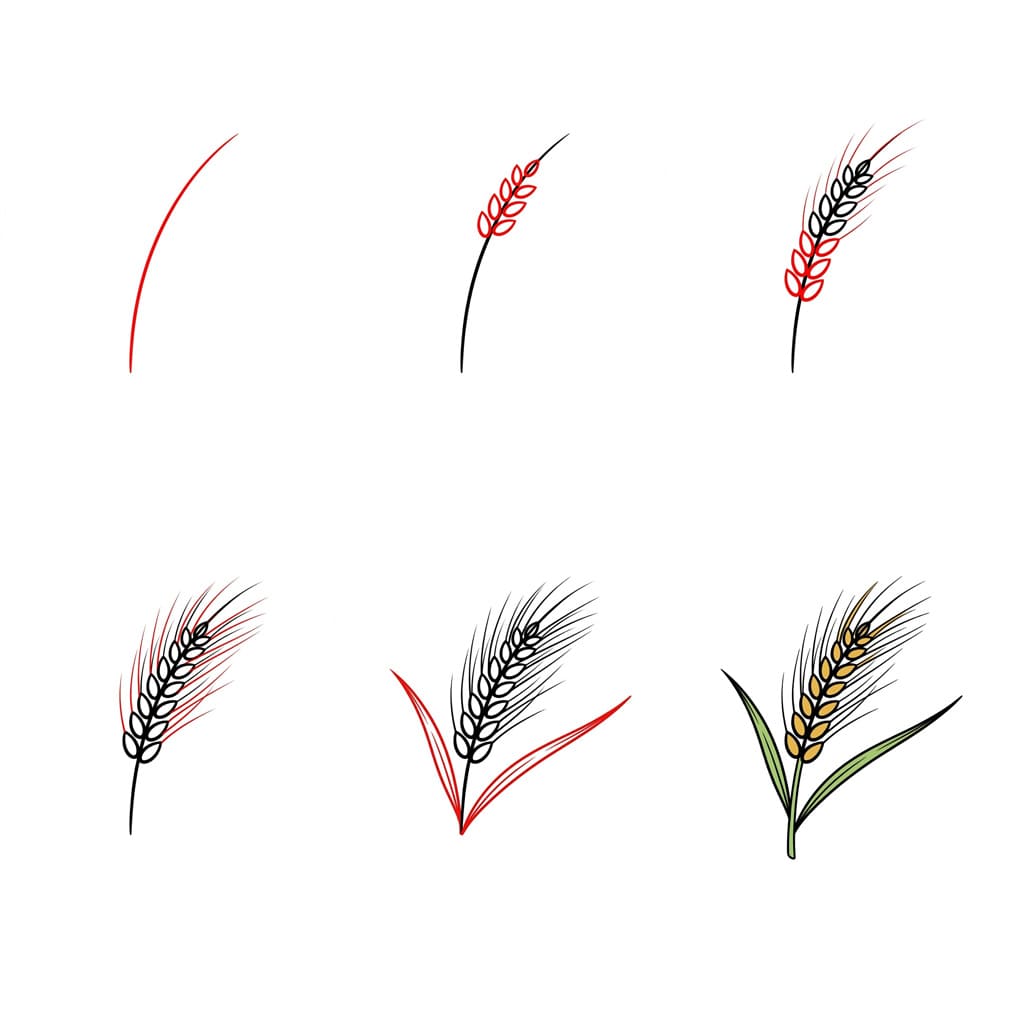 Vehnätön vehnä piirustus