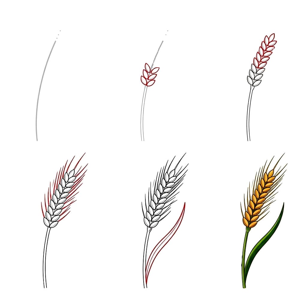 Yksinkertainen vehnä piirustus