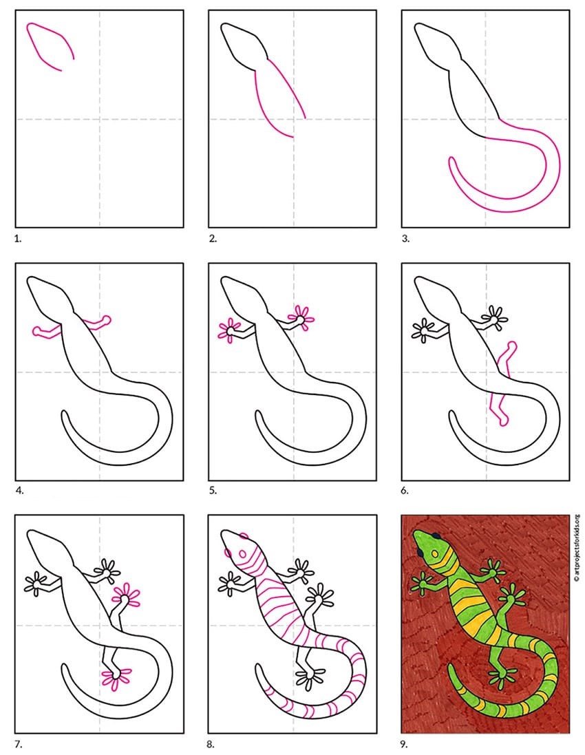 Gekko idea (5) piirustus