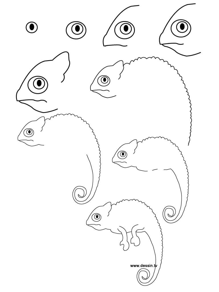 Gekko idea (8) piirustus
