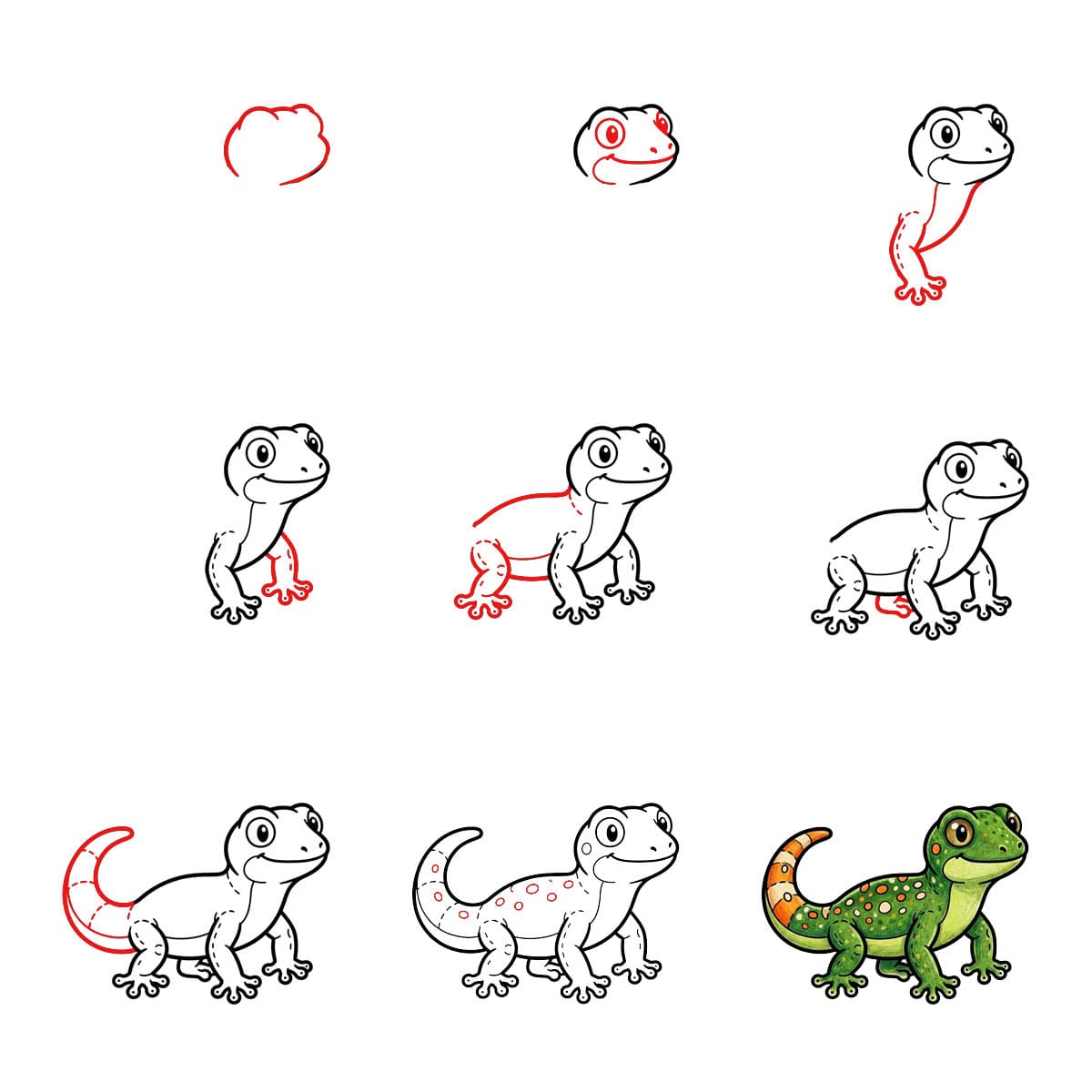 Leveäselkäinen gekko piirustus