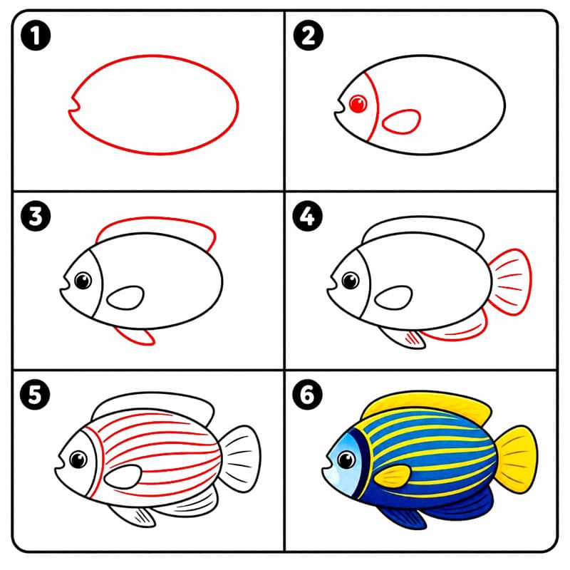 KeisariEnkelikalojakuva piirustus