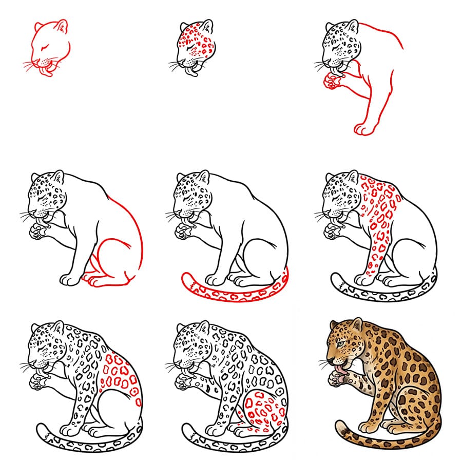 Nuoleva leopardi piirustus