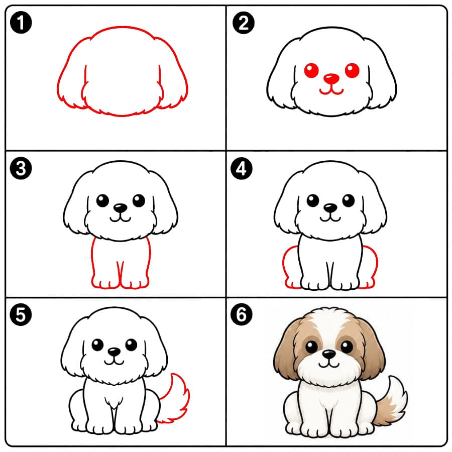 Istuva shih tzu piirustus