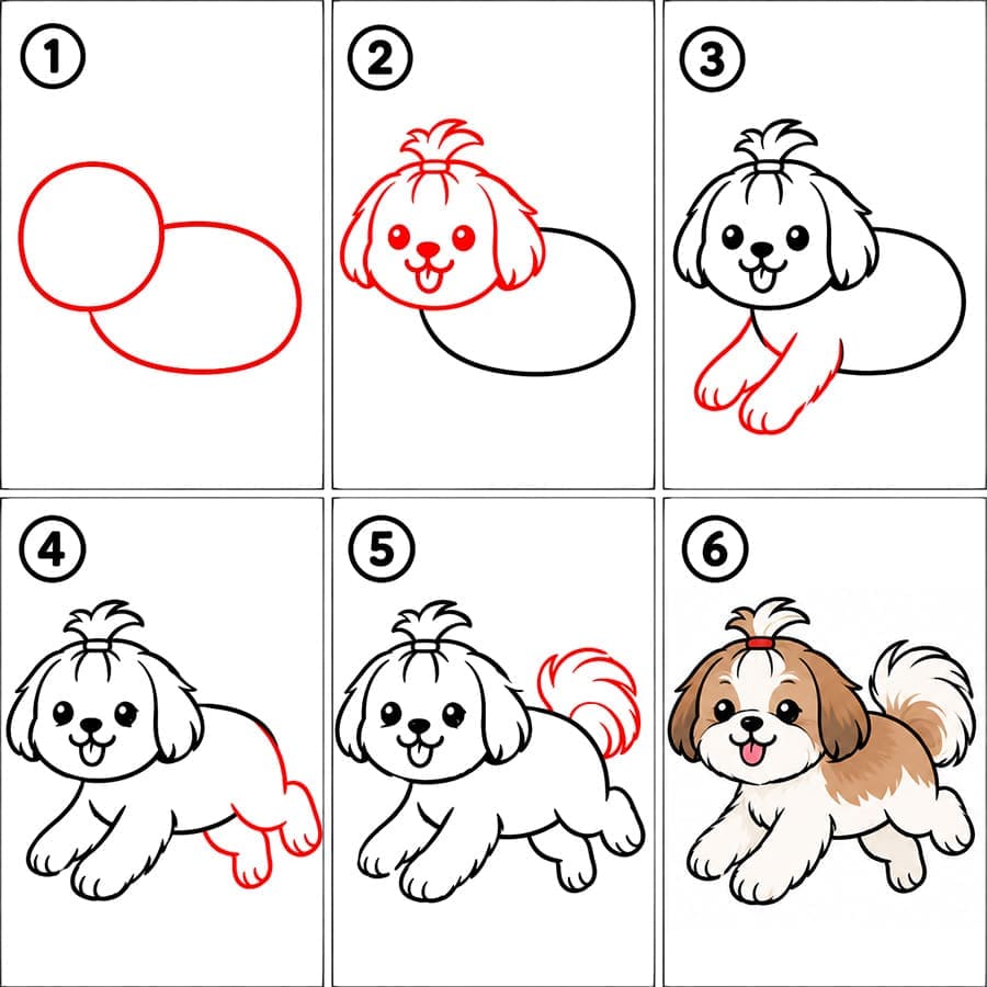 Juokseva shih tzu piirustus