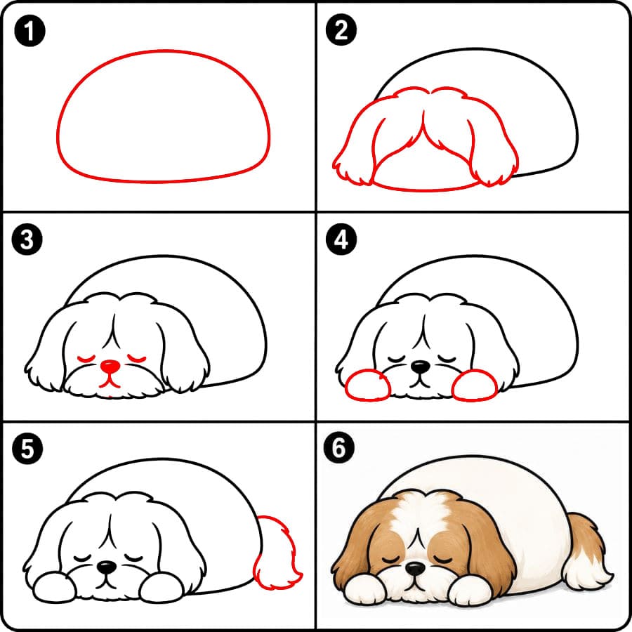 Nukkuva shih tzu kuva piirustus