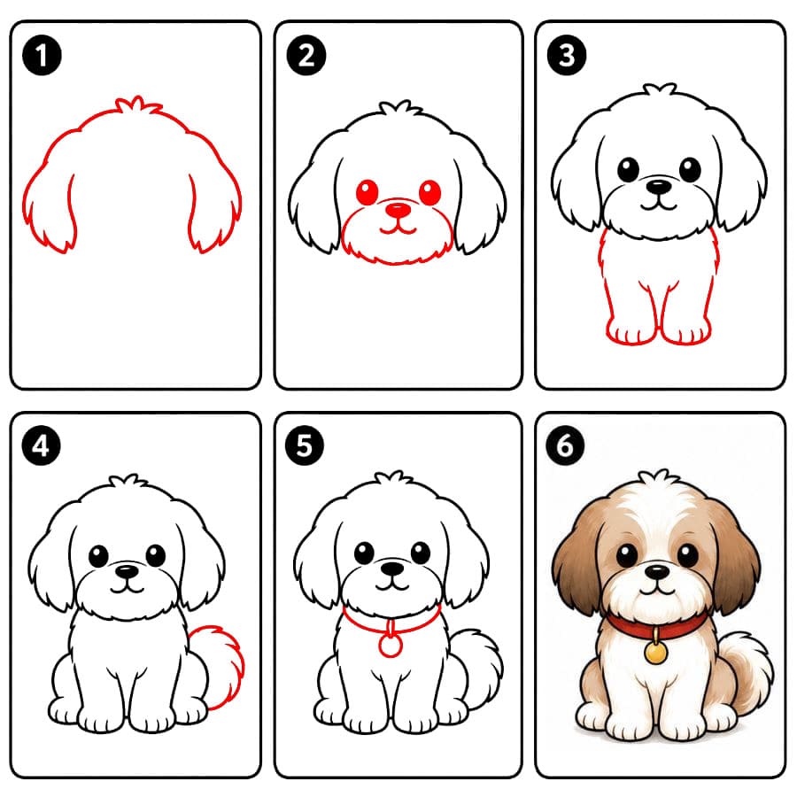 Shih tzu ja panta piirustus