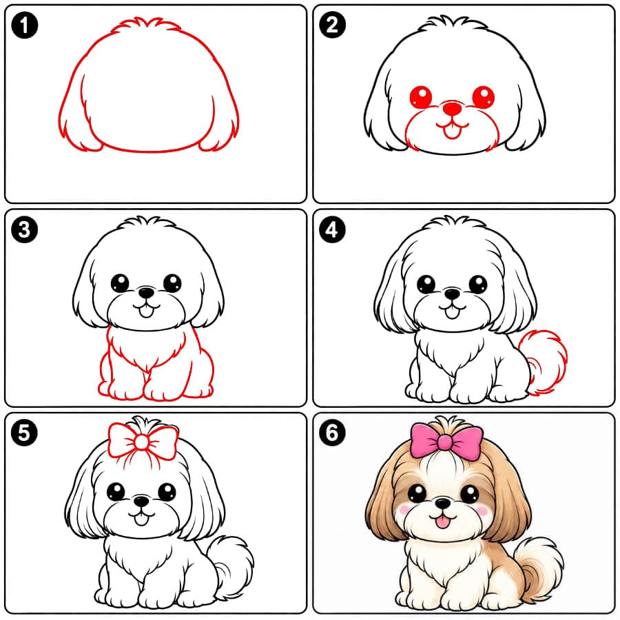 Shih tzu ja rusetti piirustus