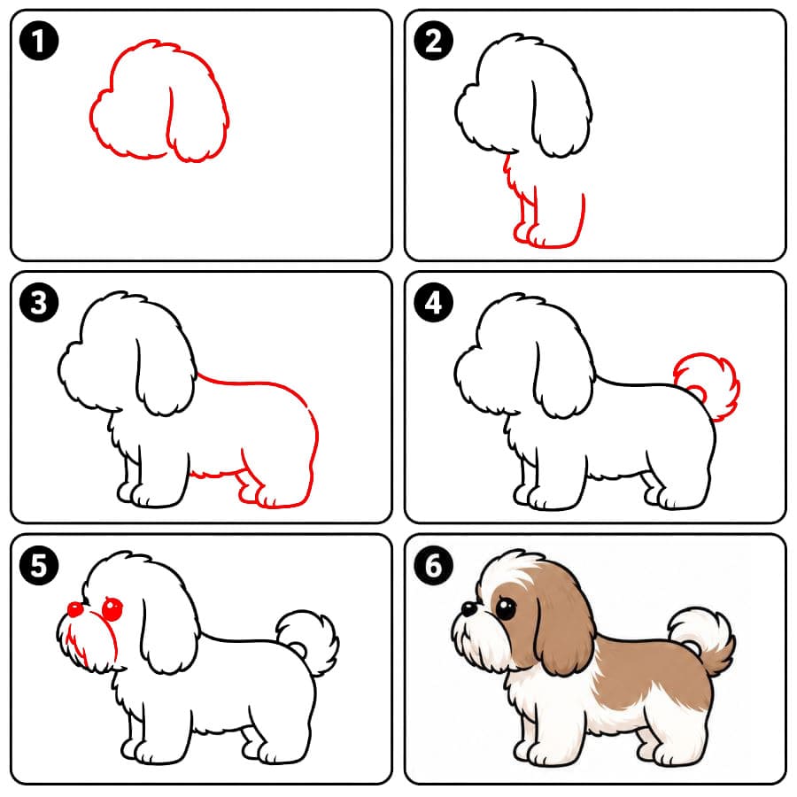 Shih tzu -koira piirustus