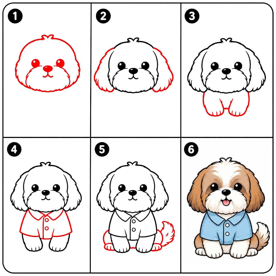 Shih tzu paidassa piirustus