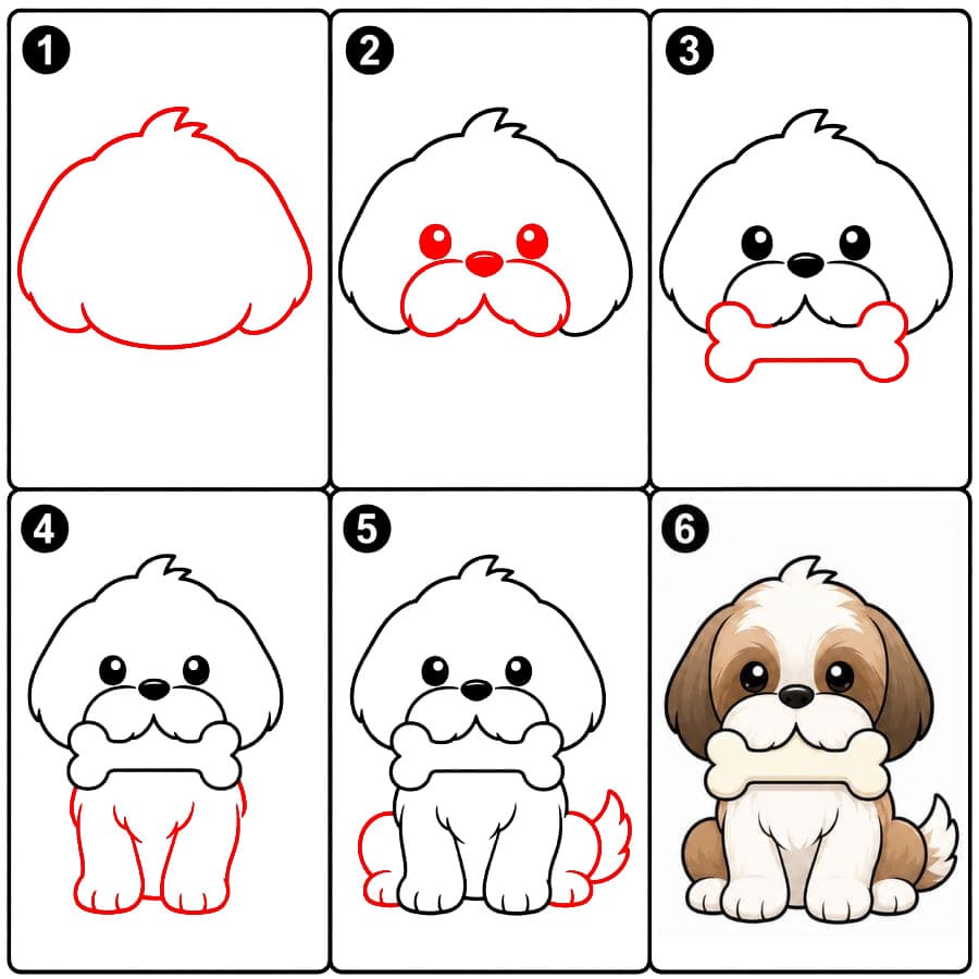 Shih tzu pitelee luuta piirustus