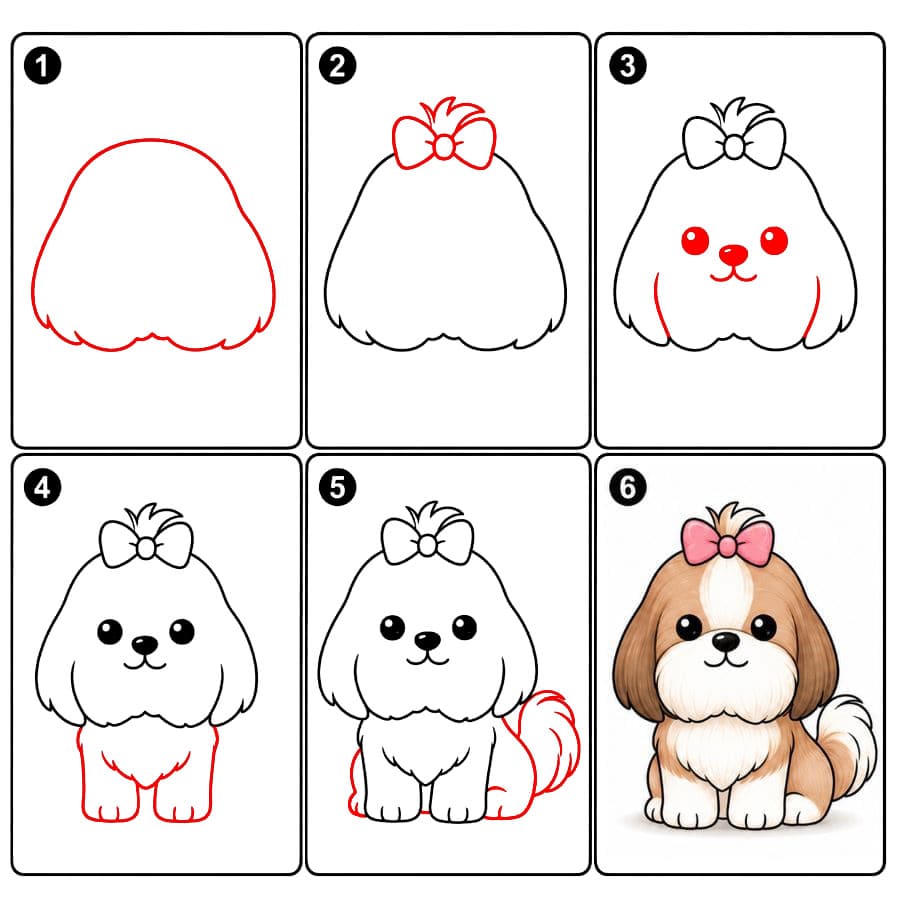 Suloinen shih tzu piirustus